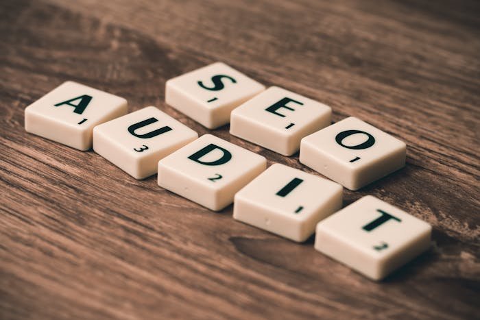 SEO Audit Important